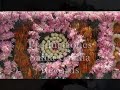 danzas de xochitlan de su�rez