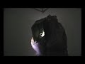 Video documentation of Tony Oursler's exhibition at the Lisson Gallery in London, Sept. 3 to Oct. 3