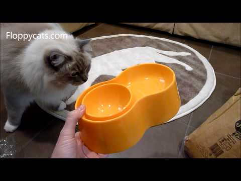 BOB Pet Bowls by PetPet Studios Review 0 BOB Pet Bowls by PetPet Studios Review