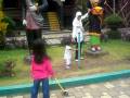 videos de Rumah Gadang di Kebun Binatang Bukiitinggi