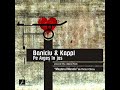 Baniciu&Kappl - Pe Arges in jos (complet mix)