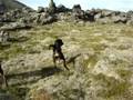 videos de Atlas úti að leika (10.08.2008) (2)