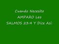 BIBLIA PALABRA DE DIOS