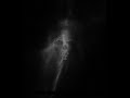 akercocke - betwixt iniquitatis and prostigiators