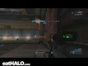 no-scope spree