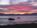 California Beauty