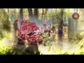 Bassim مولد العباس (ع) باسم الكربلائي- حبيتك