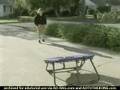 Southwest Airlines Trampoline Commercial