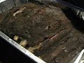 Smoked Pork Spare Ribs Smoked Pork Spare Ribs