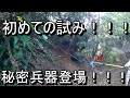 【イノシシ　捕獲】2019年11月21日【ないがしろ団】【くくりわな】