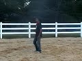 Perlis Equine 03