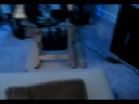 G25 Race Sim Cockpit Gen 1