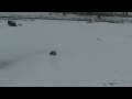 HPI Baja 5T Snow bash 2
