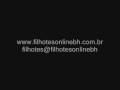 Shih Tzu filhotes venda-Brasil Minas Gerais-Puppies for sale