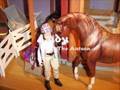 The Horses at Willow Brook