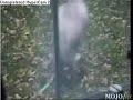 the funniest cat video you will ever see i hope