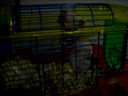 Spider-Pooky: my cute hamster :3 Spider-Pooky: my cute hamster :3
