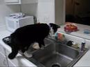Curiosity Strikes Curiosity Strikes