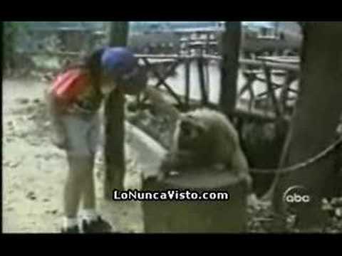 Imagen de previsualización de YouTube