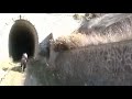 MTB Ferrovia Civitavecchia Orte