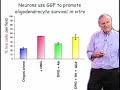 Martin Raff (UCL) Pa