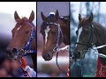 1999年秋のクラシック＆古馬戦線　競馬総集編4