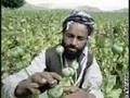 Pashtoon History by Zaiton khan alekozai