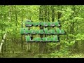 video compromised of walking in the nearby woods, using special effects and adding overlay audio tracks.