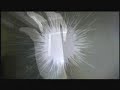 FLAMING ECHO『SAAB』