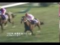 nige no bigaku【Horse racing】