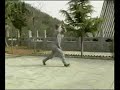 Shaolin Xiao Luohan Quan
