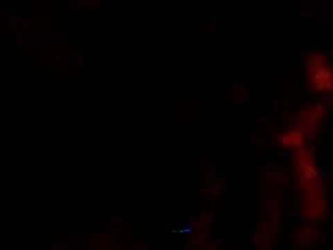 santing scalawags - welcome to ...