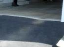 phillis willette going of a launch ramp on a skateboard phillis willette going of a launch ramp on a skateboard
