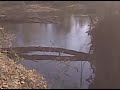 Sandy Creek Birds.3GP