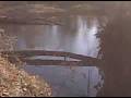 Sandy Creek Birds.3GP