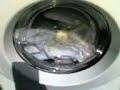 Fust novamatic start kurz wash