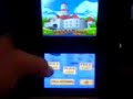 Action Replay DS (nitro hack hombrew)