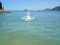 MOV00706.3GP