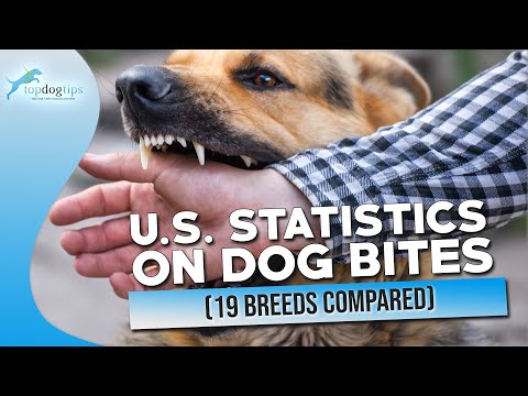 U.S.  Statistics on Dog Bites 2022 19 Breeds Compared