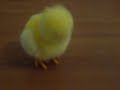 Valentine Chicken