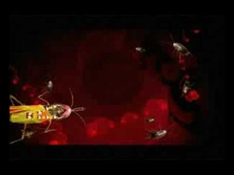 Image de prévisualisation YouTube