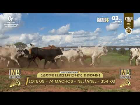 9� MEGA LEIL�O DA MB LEIL�ES