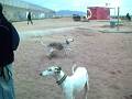 NUKA YA CORRE