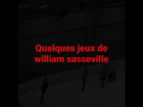 william sasseville hockey