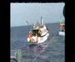 Oceana Ranger attacked !