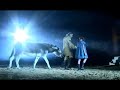 Apassionata's 'Charm of Freedom' - kerstcommercial '09