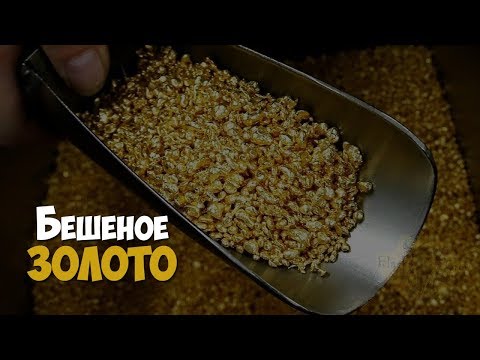 Бешеное золото в Касимове.