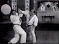Mas Oyama Fighting