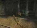 Tomb Raider Anniversary / Legend Music Video: Surviver