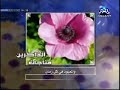 Munajaat Al-Thakereen